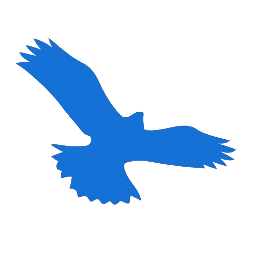 "verdun logo